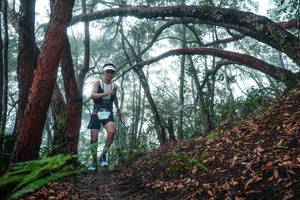 BIB: 
                            <button type="button" onclick="openModal(26343843)" class="btn btn-primary btn-sm float-right btn-popup" data-toggle="modal" data-target=".modal-high-quality">
                        <i class="fas fa-shopping-cart"></i> Add to Cart
                    </button>
                                            <button type="button" onclick="isThisMe(26343843, true)" class="btn btn-success btn-sm float-right btn-popup btn-isme hidden" data-toggle="tooltip" data-placement="bottom" title="นี่คือรูปของคุณใช่ไหม คลิกที่นี่เพื่อเอาเข้าอัลบั้ม">
                        <i class="fas fa-plus"></i> Add to album
                    </button>
                    <button type="button" onclick="isThisMe(26343843, false)" class="btn btn-warning btn-sm float-right btn-popup btn-isnotme hidden">
                        <i class="fas fa-ban"></i> Remove from album
                    </button>